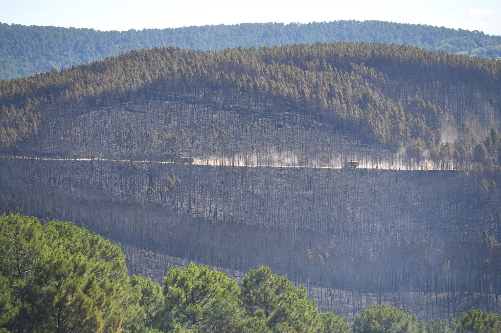 Firefighter trucks driving past burnt forest in France