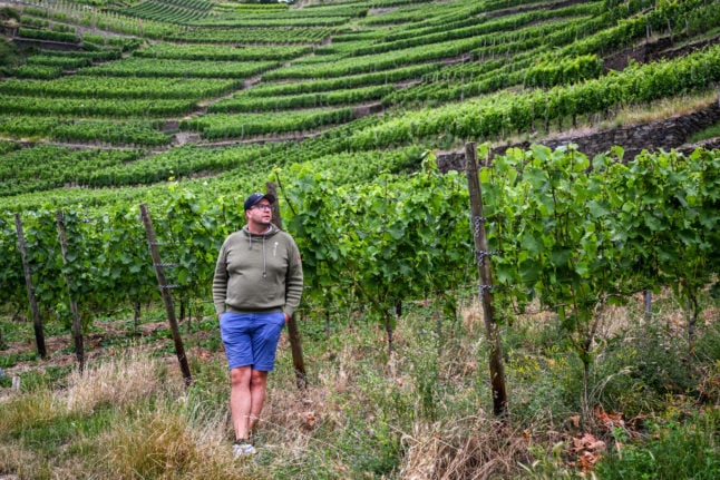 Winemaker Peter Kriechel stands in his wineyard in Bad Neuenahr-Ahrweiler in Rhineland-Palatinate, western Germany. 