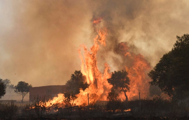 Flames rise from a forest fire near the village of Pumarejo, northern Spain