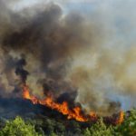 Almost 700 firefighters battle new wildfire in France