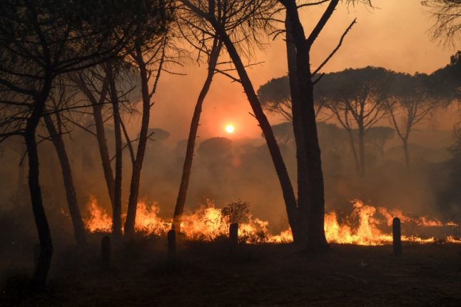 ‘Be vigilant’: The parts of France braced for forest fires this summer