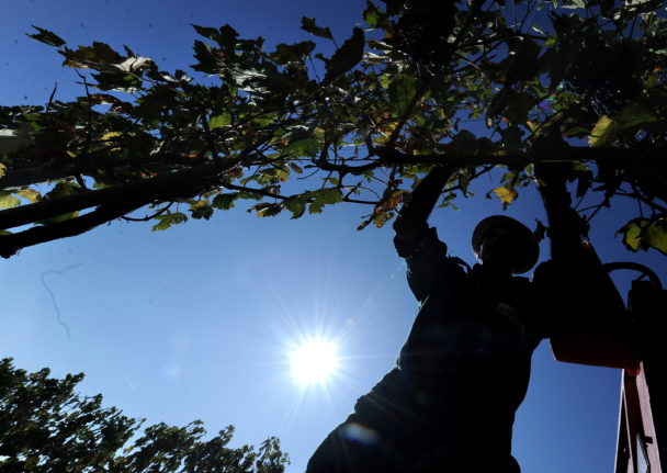 Can your boss make you work in extreme heat in Italy?