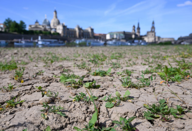 dry earth heatwave Dresden