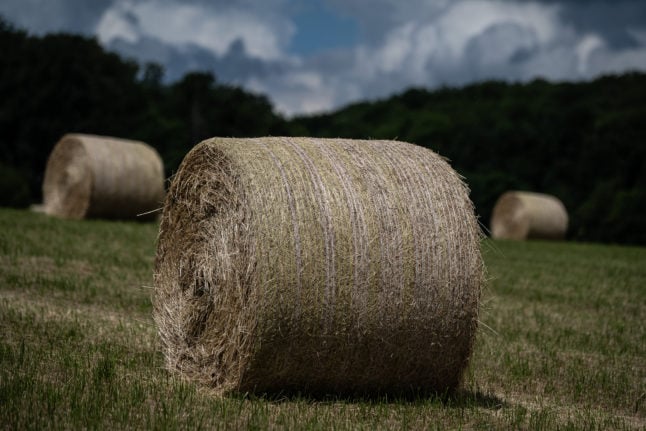 Bale of hay farmland Germany
