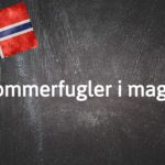 Norwegian expression of the day: Sommerfugler i magen