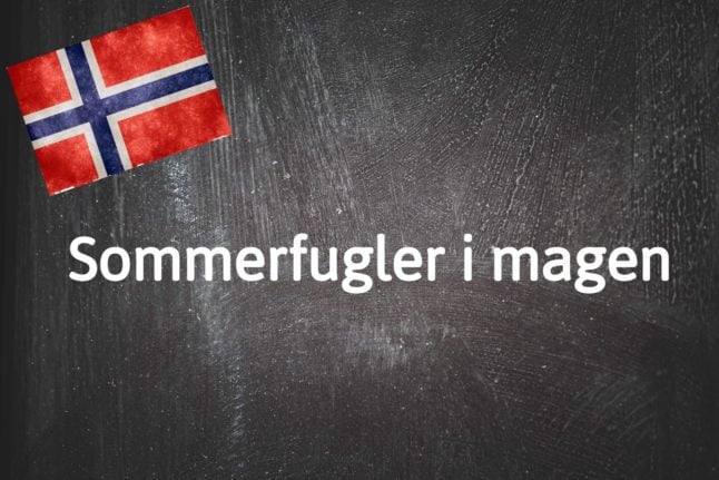 Norwegian expression of the day: Sommerfugler i magen