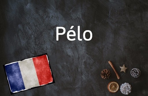 French Word of the Day: Pélo
