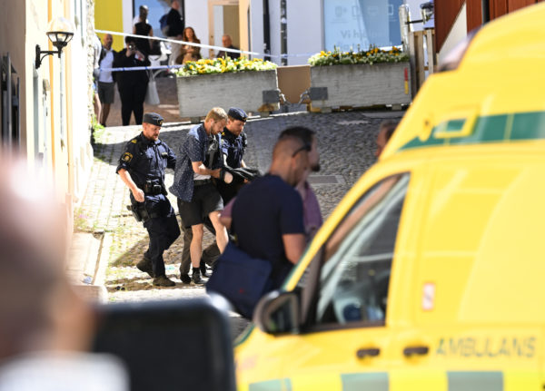Almedalen knife attacker linked to Swedish neo-Nazi groups: reports