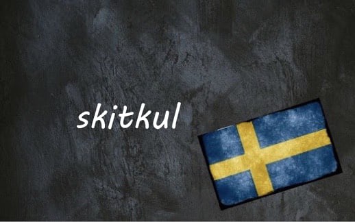 Swedish word of the day: skitkul