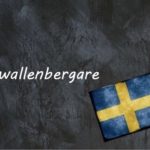 Swedish word of the day: wallenbergare