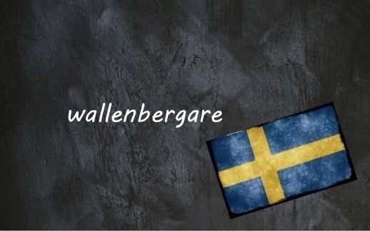 Swedish word of the day: wallenbergare