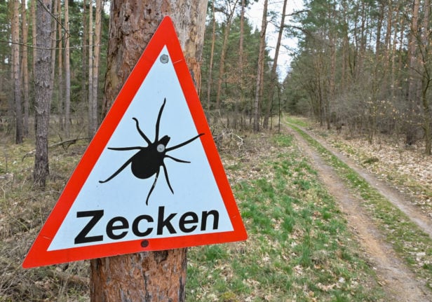 A warning sign against ticks hangs on a tree in a forest.