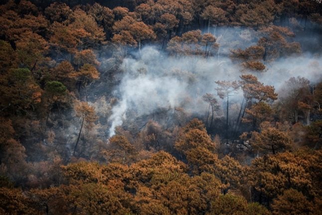 South west France authorities put in forest activity bans over wildfire fears