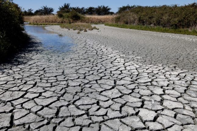 IN PICTURES: French drought intensifies as River Loire dries up