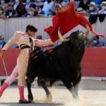‘Immoral and archaic’: Animal rights activists eye bill to ban bullfighting in France