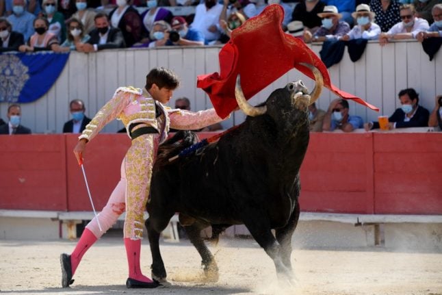 ‘Immoral and archaic’: Animal rights activists eye bill to ban bullfighting in France