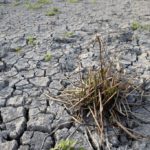 ‘Water will run out in 25 days’ – Corsica imposes strict new drought restrictions