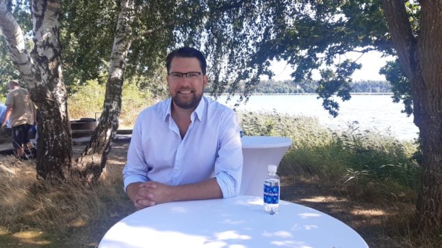 INTERVIEW: ‘The Sweden Democrats are needed in government’