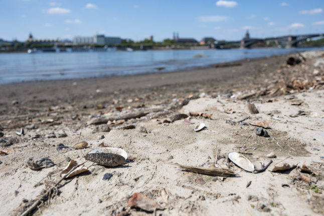 The level of the Rhine has dropped sharply. 