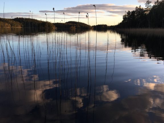 Swedish life is nice enough but it's the wilderness that has me hooked