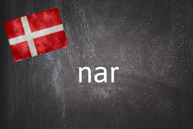 Danish word of the day: Nar