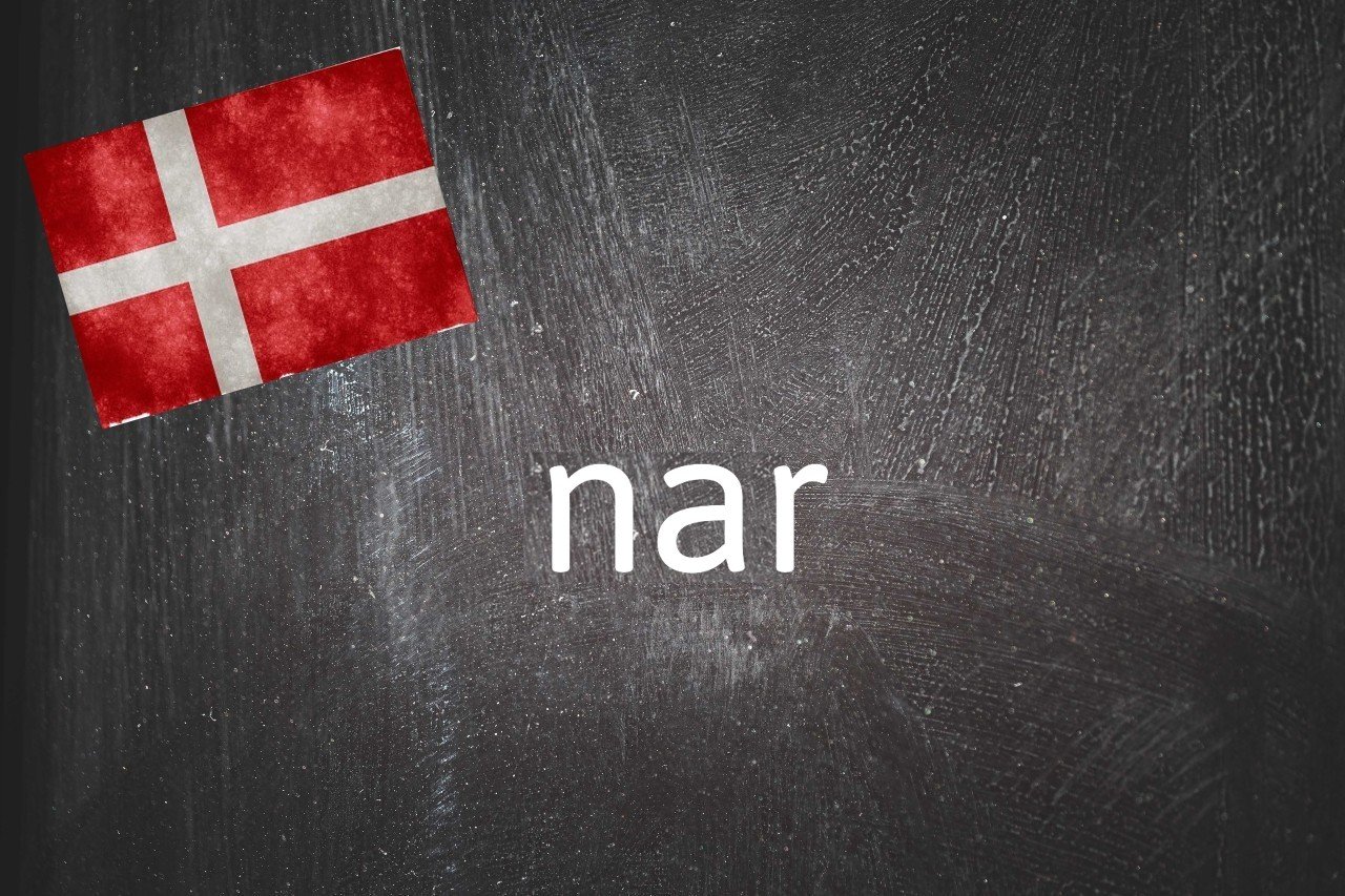 Danish word of the day: Nar - TIme News