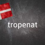 Danish word of the day: Tropenat