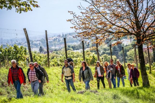 Wiener Weinwandertag: Everything you need to know about Vienna's 'Wine Hiking Day'