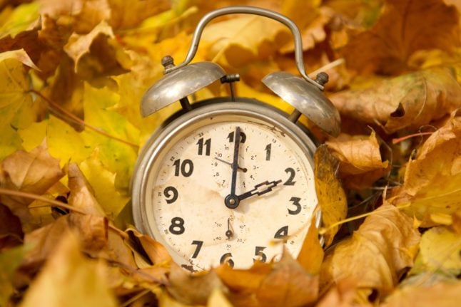 An alarm clock lies in the leaves.