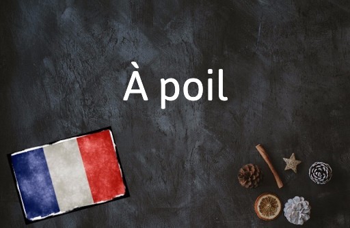 French Expression of the Day: À poil