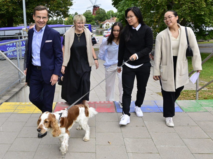 IN PICS: How the party leaders voted in the 2022 Swedish election