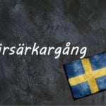 Swedish word of the day: bärsärkagång