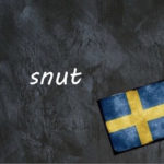 ​​Swedish word of the day: snut