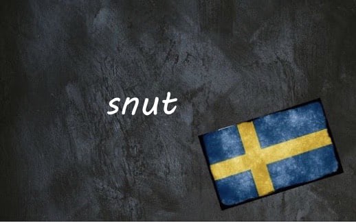Composite image for Swedish word of the day 'snut'. Photo: Annie Spratt/Unsplash/Nicolas Raymond