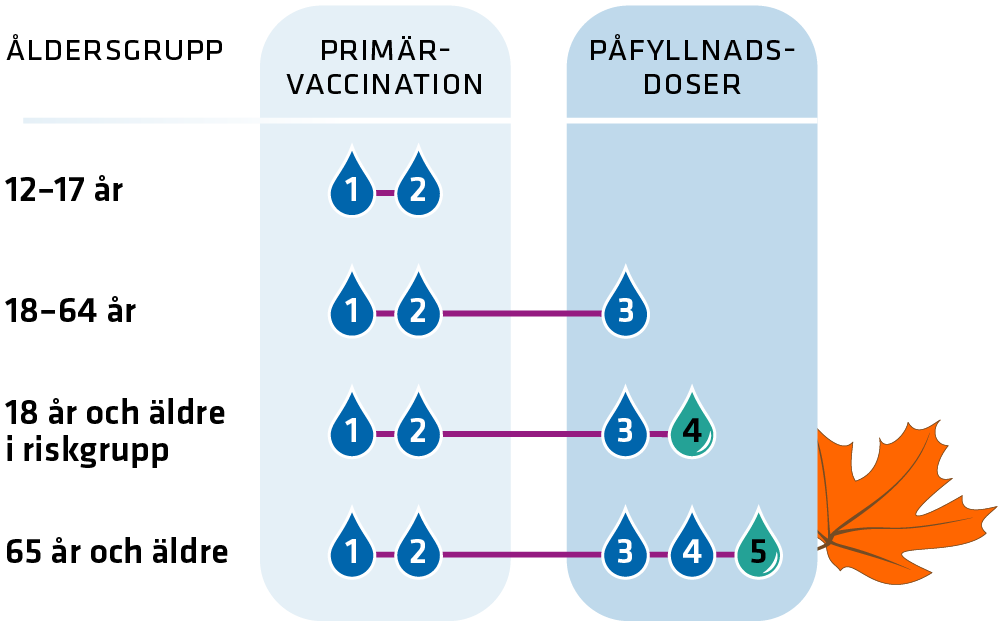 Chart showing recommended vaccination schedules. Chart: Folkhälsomyndigheten