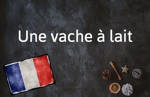 French Expression of the Day: Une vache à lait
