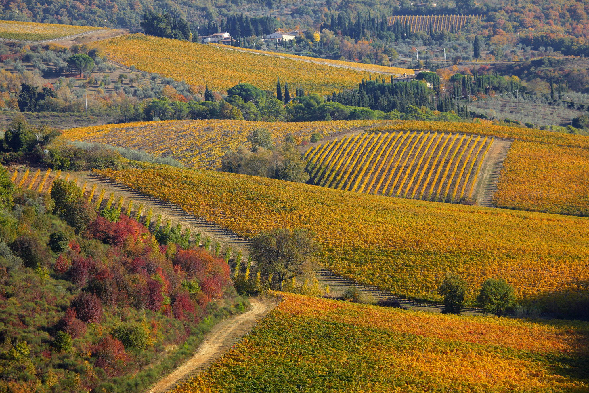 Осенняя Тоскана