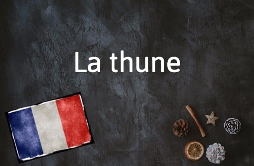French Word of the Day: La thune