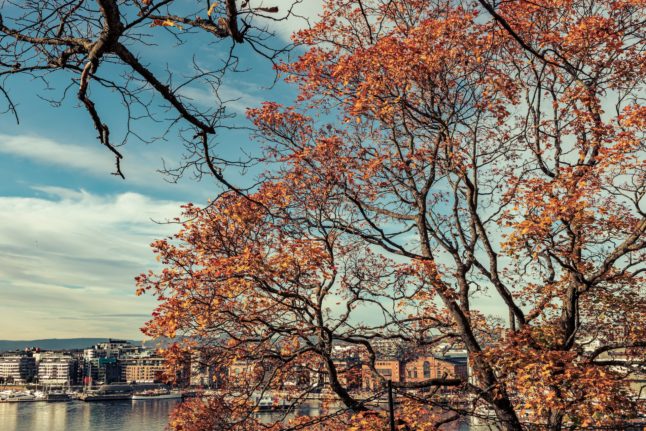 Pictured is an autumnal setting in Oslo.