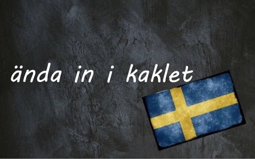 ​​Swedish word of the day: ända in i kaklet