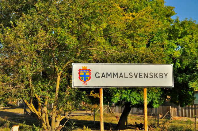 How has war changed life for Ukraine's Swedish-speaking village?