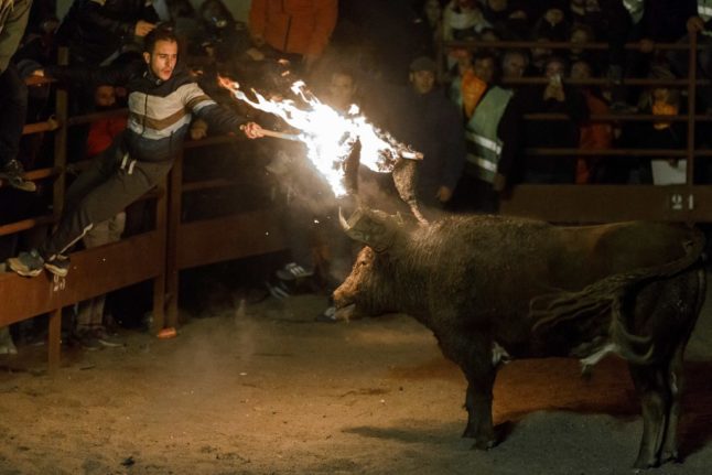 fire bull festival spain