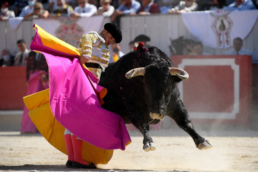 EXPLAINED: Could bullfighting finally be banned in France?