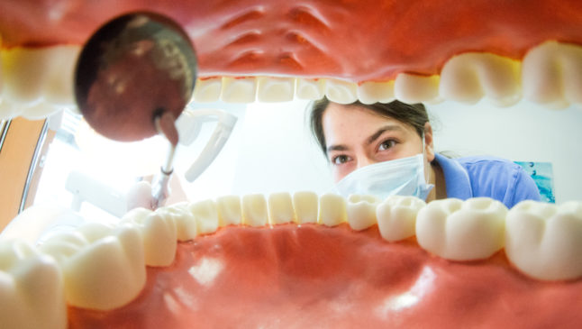 A dental assistant poses behind an artificial, oversized denture at a dental practice in Hanover.
