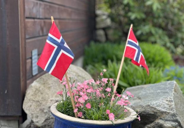 What are the cheapest ways to learn Norwegian?