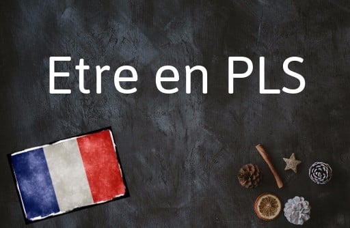 French phrase of the Day: Etre en PLS