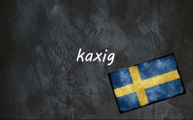 ​​Swedish word of the day: kaxig
