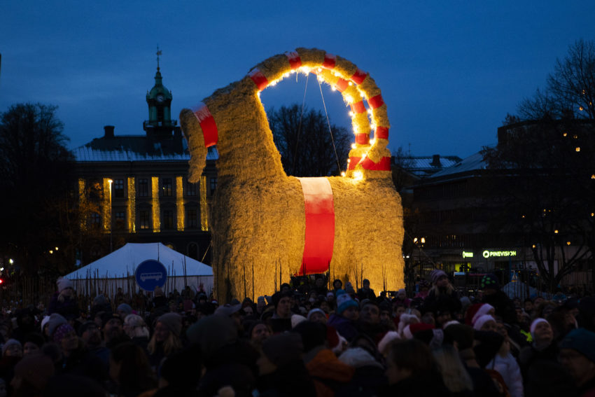 Sweden’s arsonafflicted Christmas goat is moving after 56 years