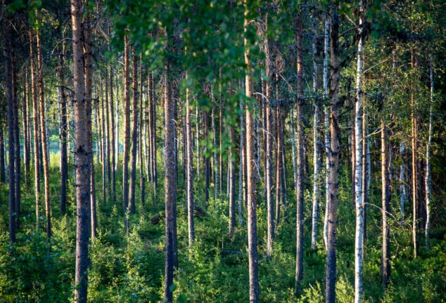 Climate change: Is Sweden’s green gloss about to wash off?
