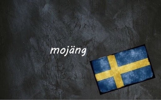 Swedish word of the day: mojäng